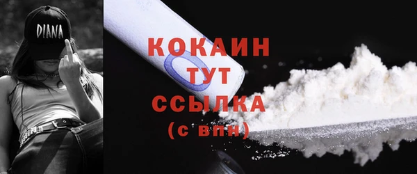 дмт Россошь