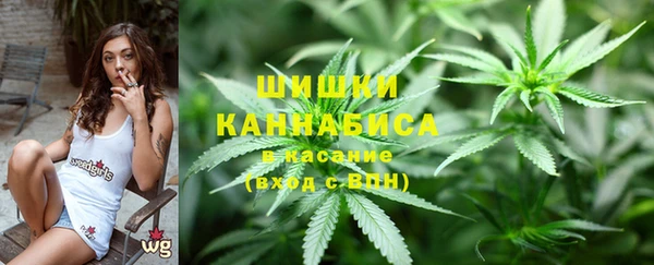 дмт Россошь