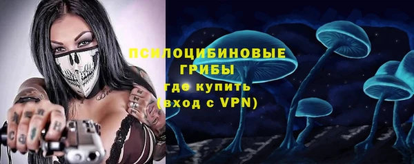 дмт Россошь