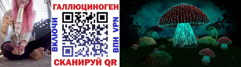 где купить   Каменск-Шахтинский  Галлюциногенные грибы MAGIC MUSHROOMS 