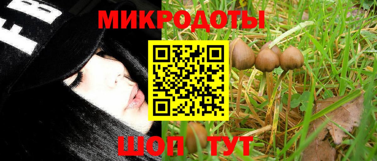 Галлюциногенные грибы ЛСД Каменск-Шахтинский